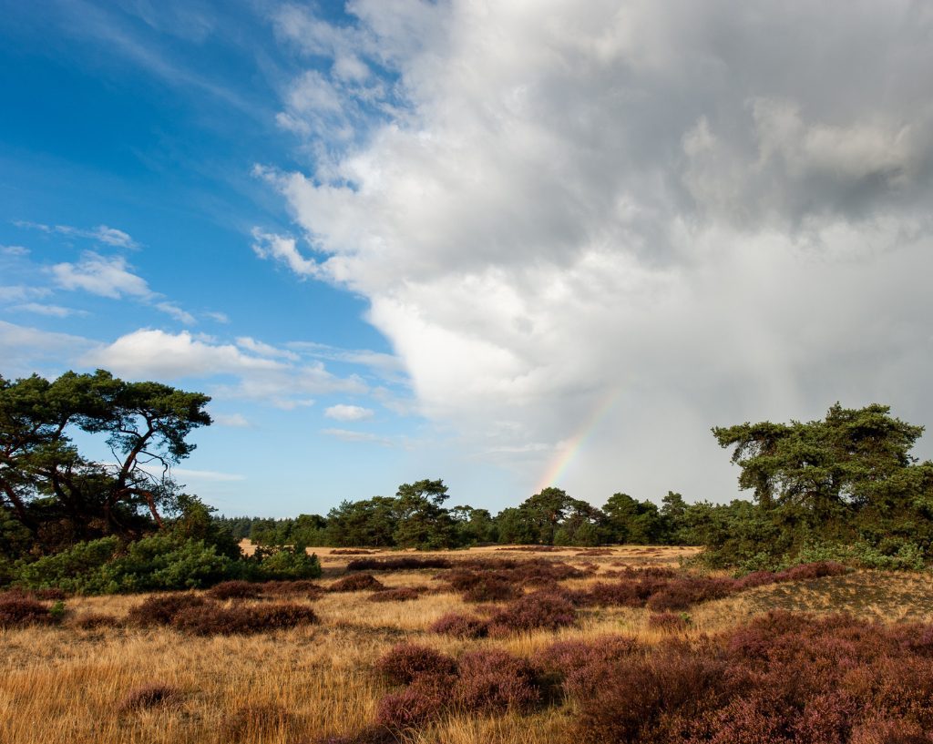 Veluwe